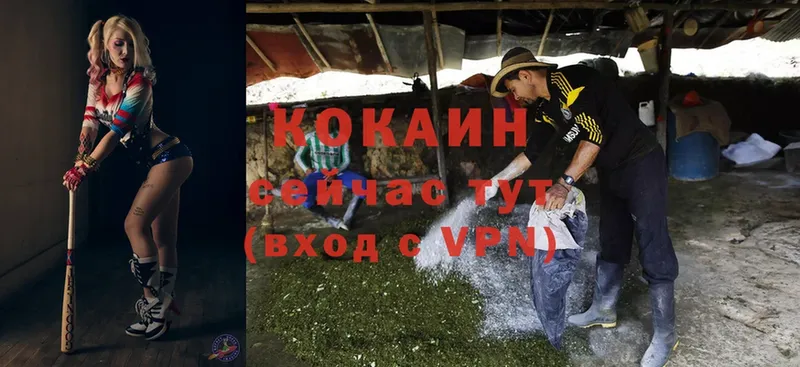 площадка формула  Челябинск  Cocaine 99% 